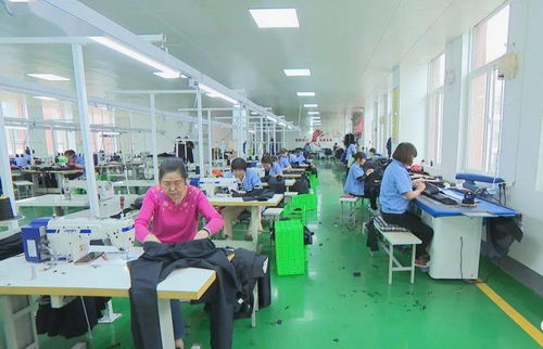 照金村社區服裝廠扎實做好穩就業工作丨耀州故事之脫貧故事 193